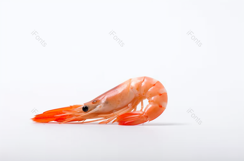 白色背景食用大虾美食,高清,摄影图,摄影图片,图片大全,摄影图免费下载